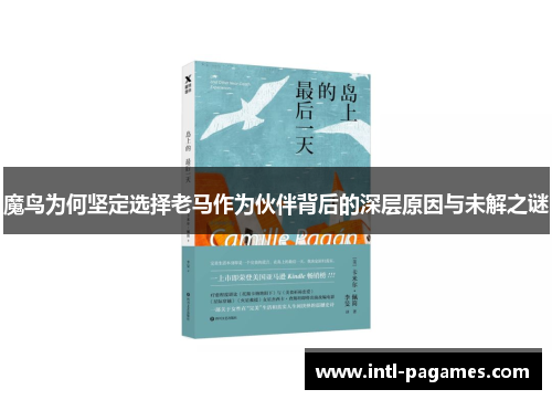 魔鸟为何坚定选择老马作为伙伴背后的深层原因与未解之谜