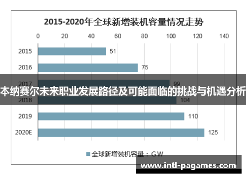 本纳赛尔未来职业发展路径及可能面临的挑战与机遇分析